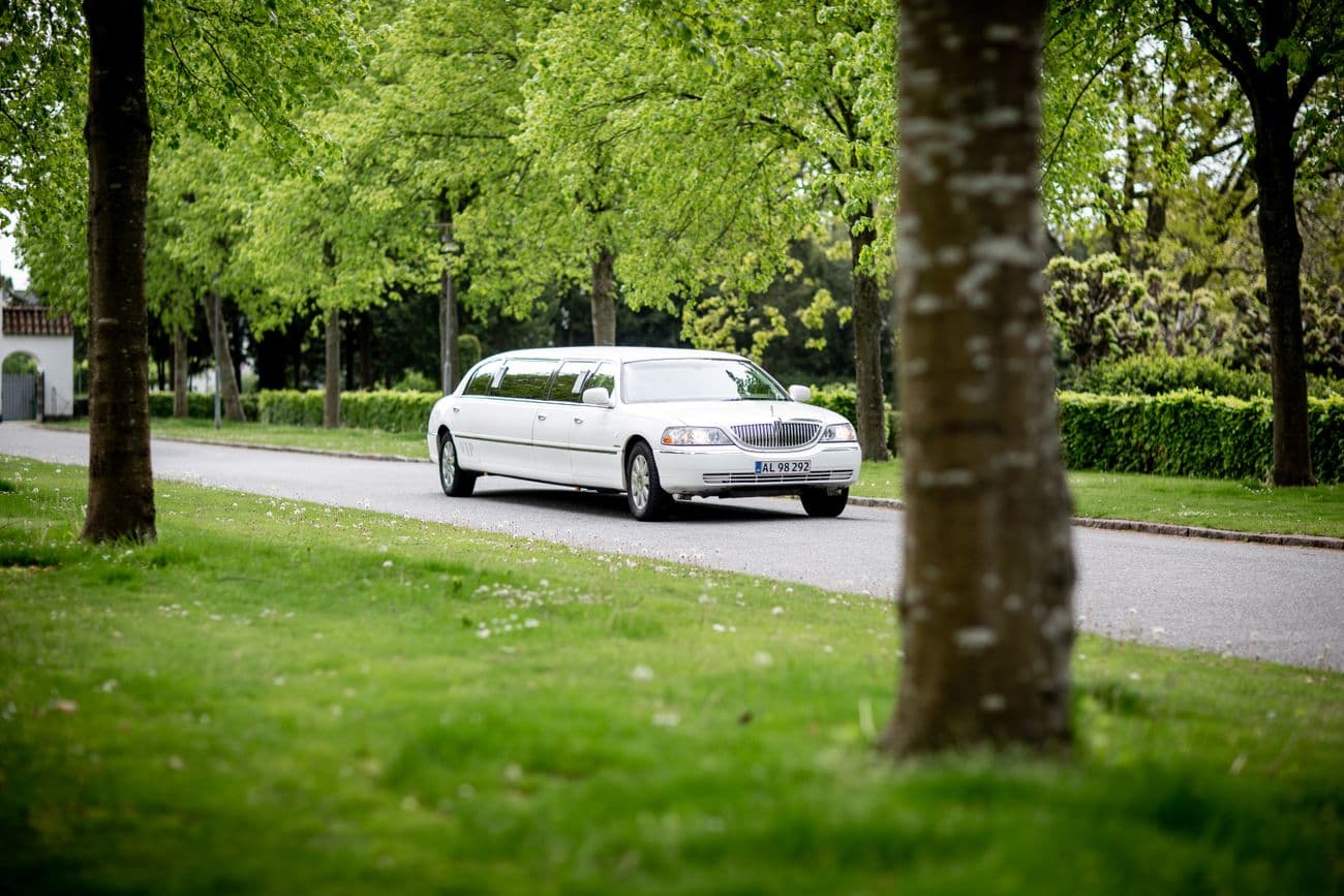Stretch Limousine — Signature