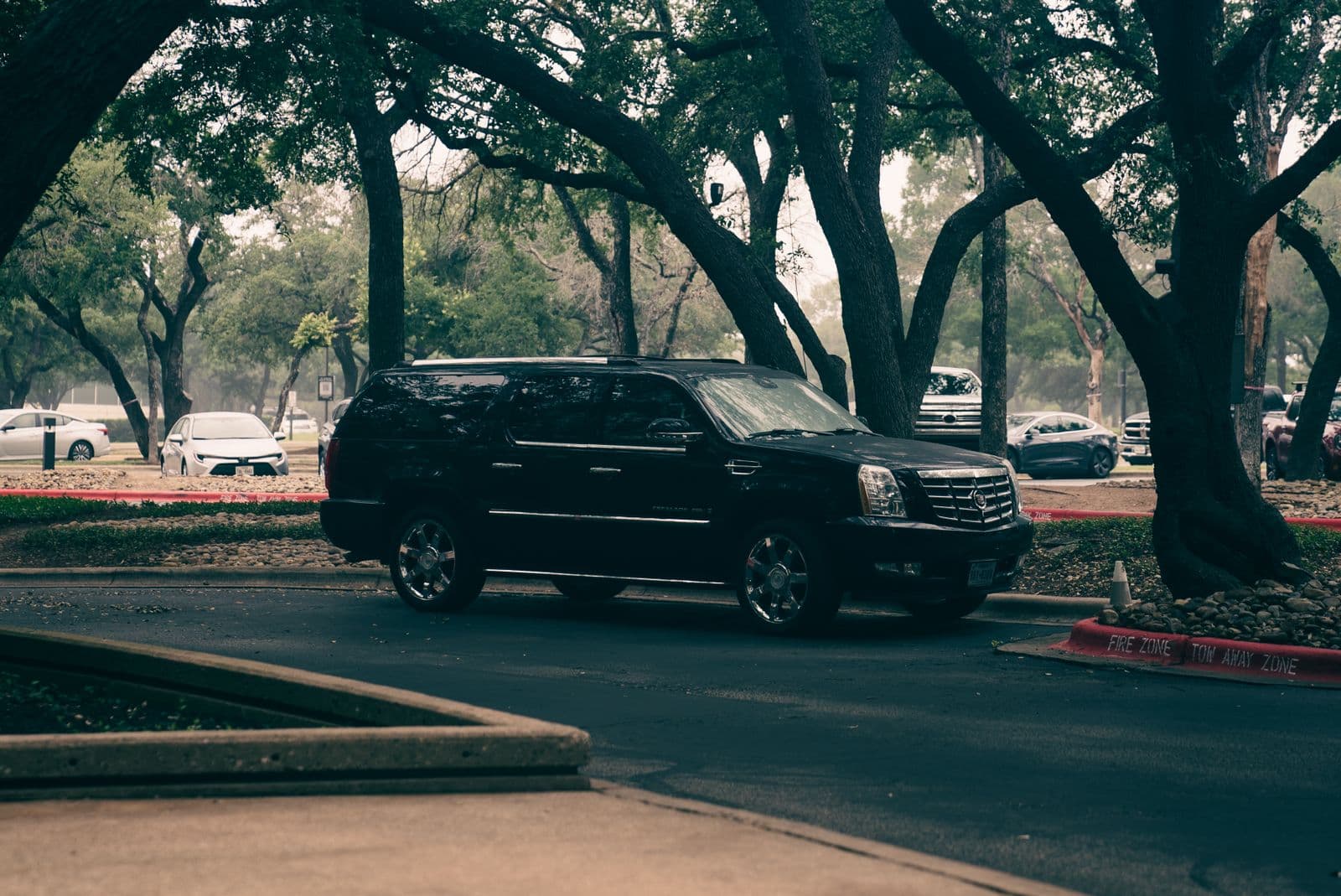 Black Cadillac Escalade ESV waiting under the oaks at an airport pickup lane